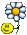 Oferecendo flor